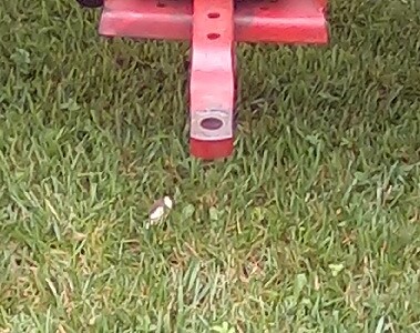 Farm equipment hitch with chains and coupling pin for tractor attachment.