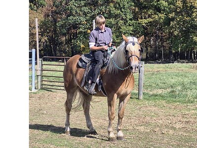 Rider on a light brown horse in a grassy field with trees in the background.