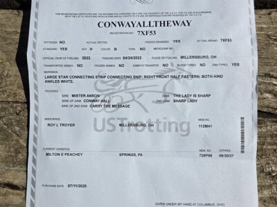 USTA registration certificate for Conway Alltheway, trotting horse, with pedigree and owner details.